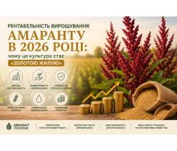 Рентабельность выращивания амаранта в 2026 году: Почему эта культура становится «золотой жилой»?
