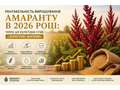 Рентабельность выращивания амаранта в 2026 году: Почему эта культура становится «золотой жилой»?