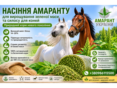 Насіння амаранту для вирощування зеленої маси та силосу для коней: природний корм нового покоління