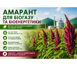 Амарант для биоэнергетики: перспективная энергетическая культура для производства биогаза