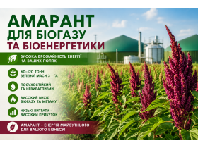 Амарант для биоэнергетики: перспективная энергетическая культура для производства биогаза