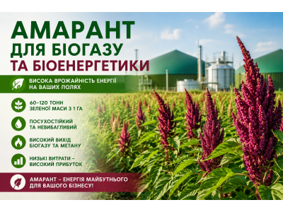 Амарант для біоенергетики: перспективна енергетична культура для виробництва біогазу