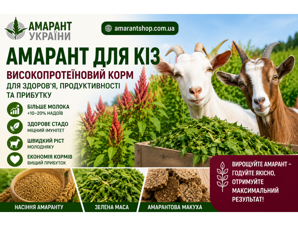 Амарант для коз: зеленый корм будущего, который приносит прибыль