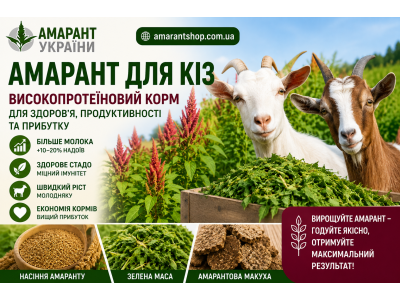 Амарант для кіз: зелений корм майбутнього, який приносить прибуток