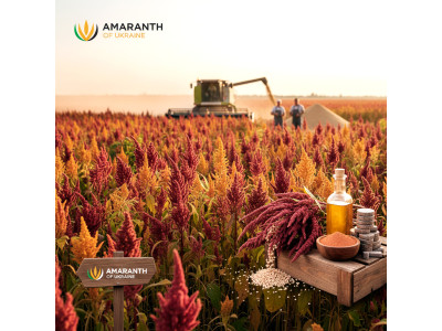 Amaranth: A Promising Niche Crop for Successful Agribusiness