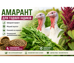 Амарант для кормления индюков