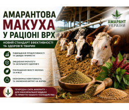 Амарантовый жмых в рационе КРС: Новый стандарт эффективности и здоровья животных