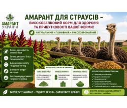 Амарант для страусов: зеленый корм, который увеличивает прибыль фермы