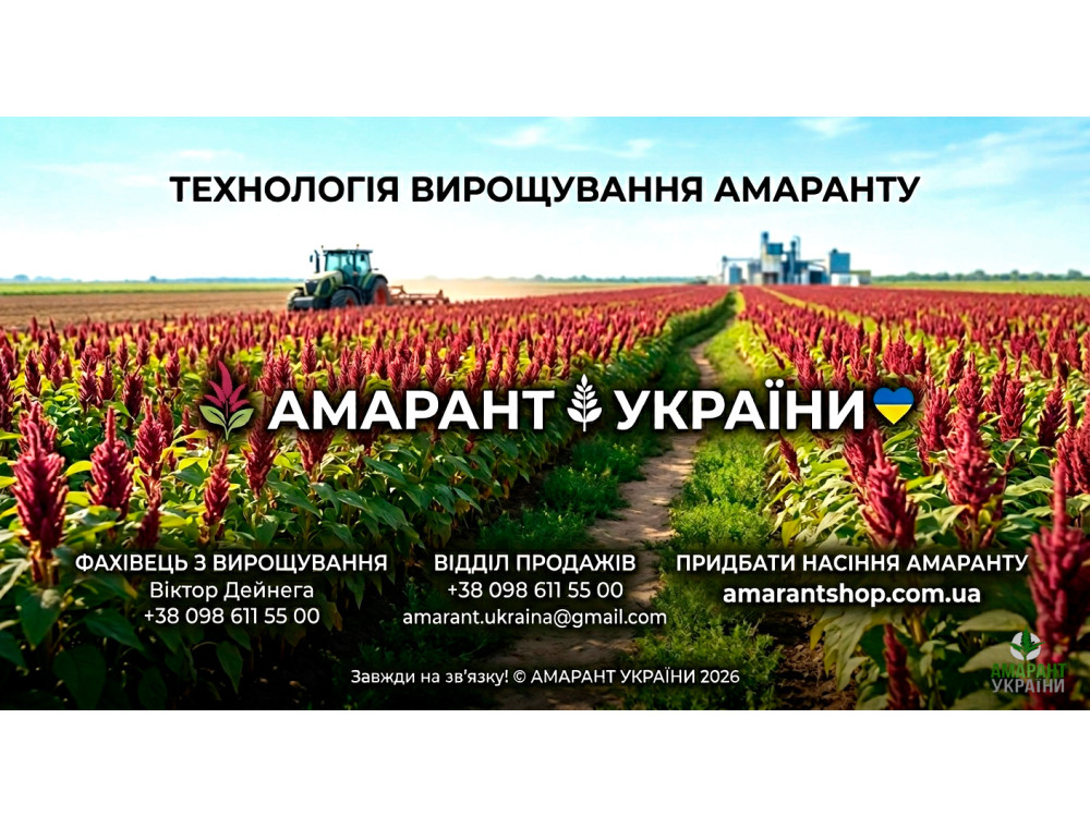 Классическая технология выращивания амаранта: пошаговая инструкция и 30-летний опыт ФХ «Амарант Украины»