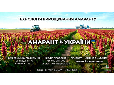 Класична технологія вирощування амаранту: покрокова інструкція та 30-річний досвід ФГ «Амарант України»