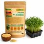 Green Amaranth Seeds for Microgreens Growing